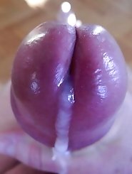 Chicks in porn gallery